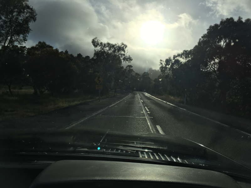 Illustration for article titled BMW 635CSi. Adelaide Hills. Springtime. Goodtime.